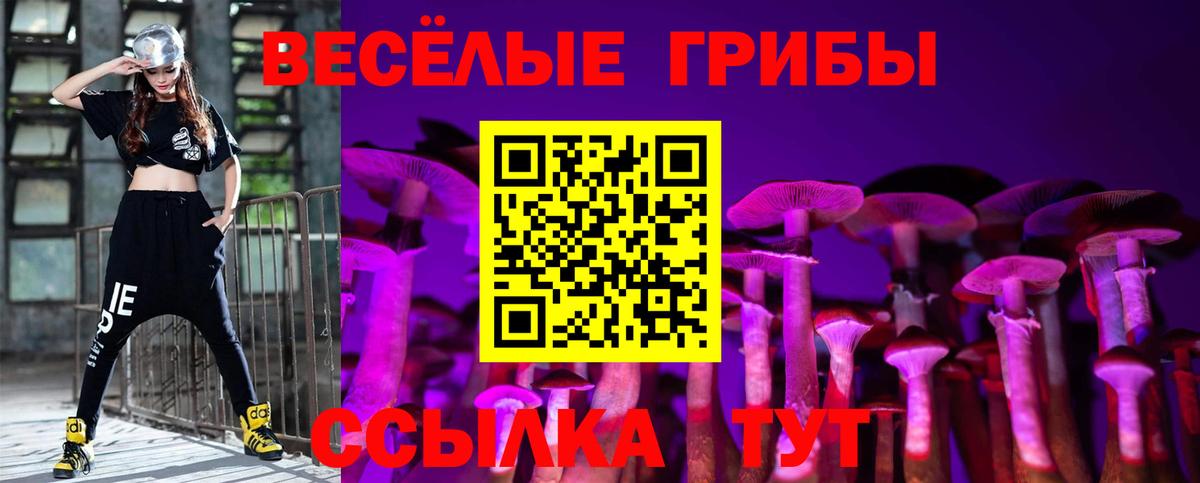 Галлюциногенные грибы Magic Shrooms  как найти закладки  Дивногорск  Вход с VPN 
